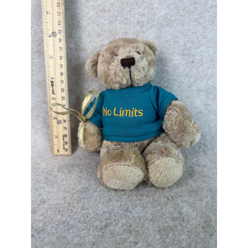Plushland Teddy Bear Tan Plush Animal Toy Teal Shirt No Limits Gold Bow Cute